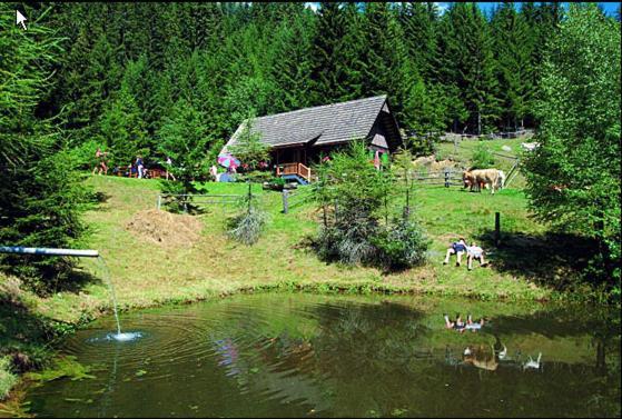 Panoramadorf Saualpe Hotel Eberstein Exterior photo